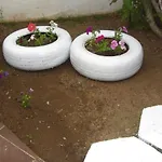 Tolan 3* İçmeler