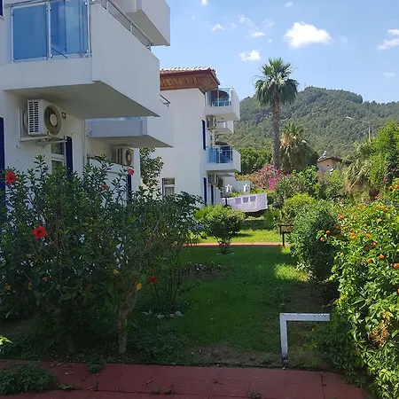 Tolan Ичмелер